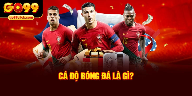 Cá độ bóng đá là gì?