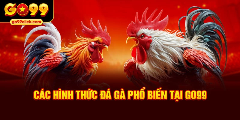 Các hình thức đá gà phổ biến tại Go99