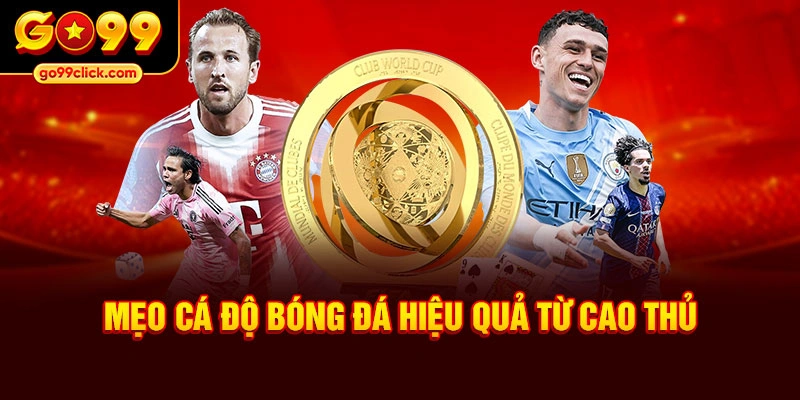 Mẹo cá độ bóng đá hiệu quả từ cao thủ